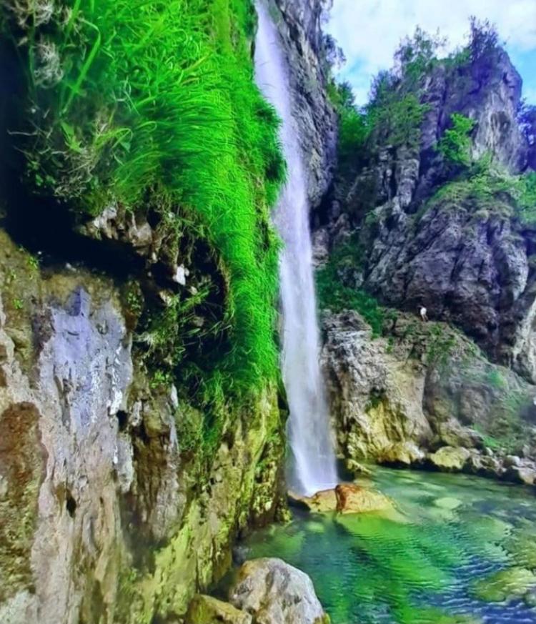 Sunrise Guest House Shkodër Dış mekan fotoğraf
