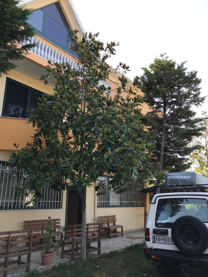 Sunrise Guest House Shkodër Dış mekan fotoğraf